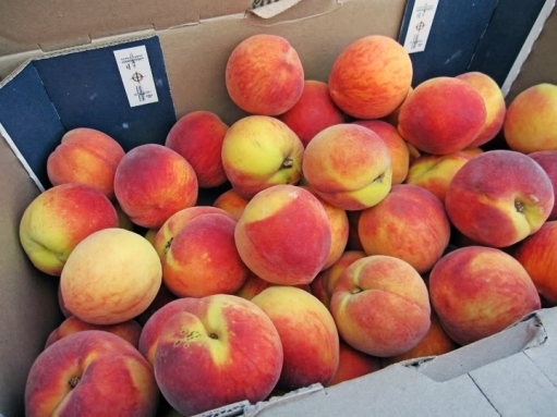 peaches_in_box